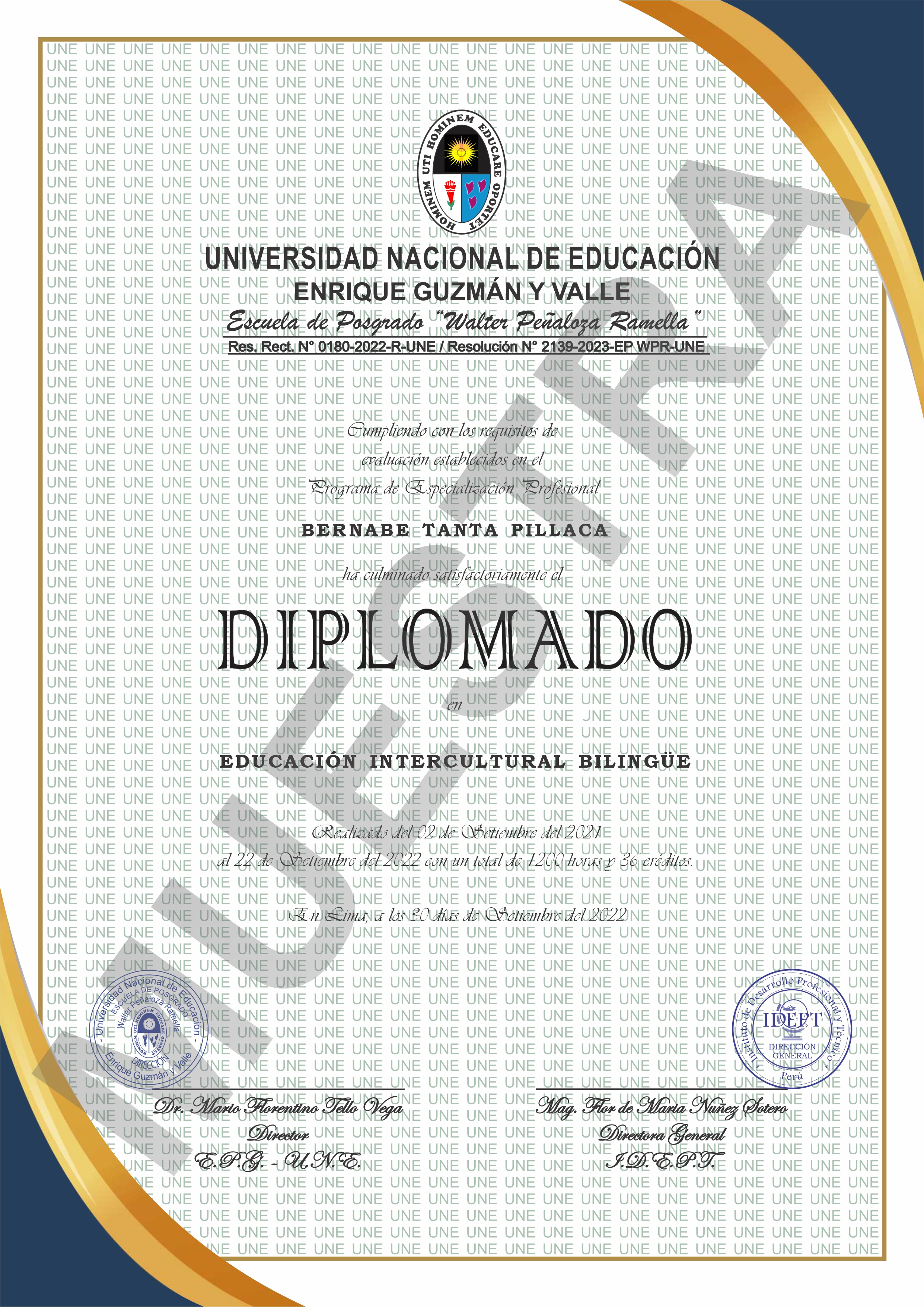 diplomado une